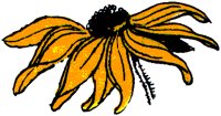 DAISY1.TIF