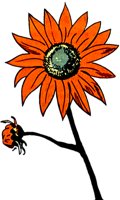 DAISY.TIF