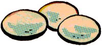 EGGS.TIF