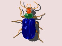 BUGS006.BMP
