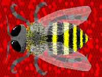 BUGS003.BMP