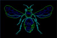 BEE.WPG