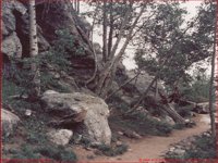 TRAIL.GIF