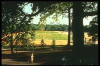 PARK1.GIF