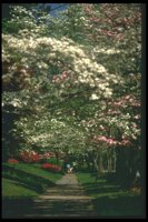 GARDEN.GIF