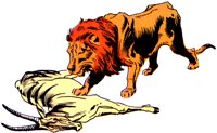LION2.TIF