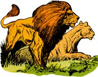 LION1.TIF