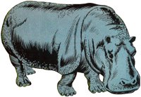 HIPPO.TIF