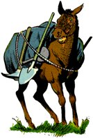 BURRO.TIF