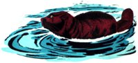 BEAVER.TIF