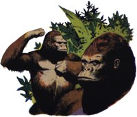 APE.TIF