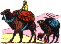 CAMELS.TIF
