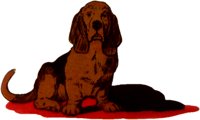 HOUND.TIF