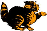 CAT.TIF