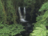 AKAKA2.GIF