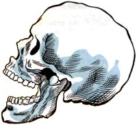 SKULL1.TIF