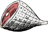 HAM.TIF