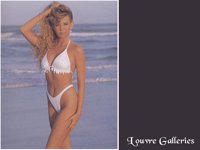GATORS9.GIF