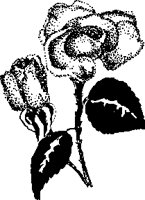 VA000017.EPS