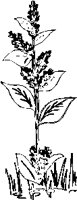 PN000065.EPS