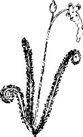 PN000058.EPS