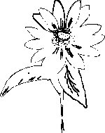 PN000046.EPS