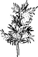 FO000079.EPS