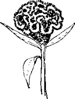 FO000078.EPS
