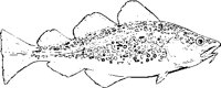 FO000072.EPS