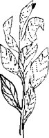 FO000071.EPS