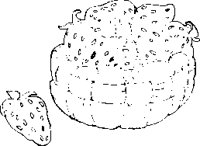 FO000053.EPS