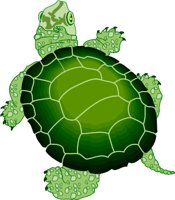 TURTLE.WMF