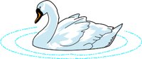 SWAN.WMF
