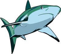 SHARK.WMF
