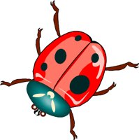 LADYBUG.WMF