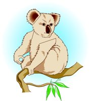 KOALA.WMF