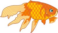 GOLDFISH.WMF
