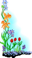FLOWR_BD.WMF