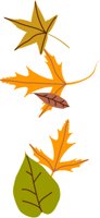 LEAVES.WMF