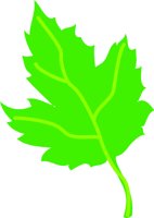 MPL_LEAF.WMF