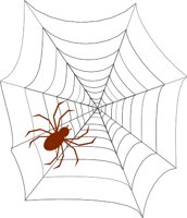 SPIDER_W.WMF