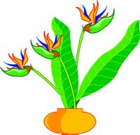 FLOWERS.WMF