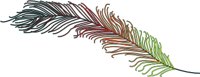 FEATHER.WMF