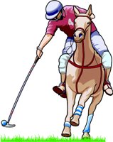 POLO_PLY.WMF