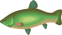 TENCH.WMF