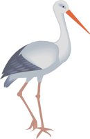STORK.WMF