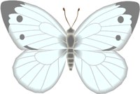 PIERIS.WMF