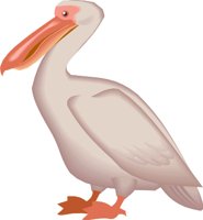 PELICAN.WMF