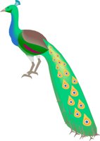 PEACOCK.WMF