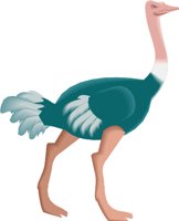 OSTRICH.WMF